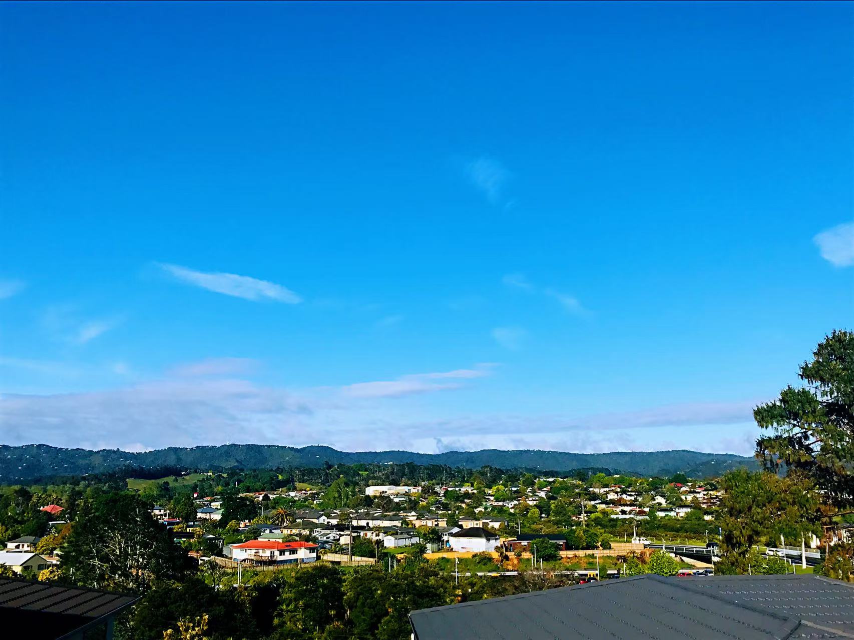 auckland sunnyvale | 2026大选：西区选区及候选人介绍